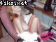 4iks_Net_Privatnoe_01497.jpg