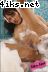 4iks_net_Priscilla_-_Bubbles_48.jpg