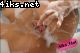 4iks_net_Priscilla_-_Bubbles_49.jpg