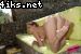 Popki_4iks_Net_0179.jpg