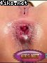 4iks_Net_Anal_001068.jpg