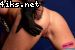 Popki_4iks_Net_1339.jpg