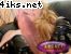 4iks_Net_Trans_00422.jpg