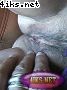 4iks_Net_Anal_000381.jpg